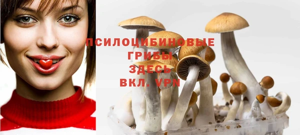 эйфоретик Краснотурьинск