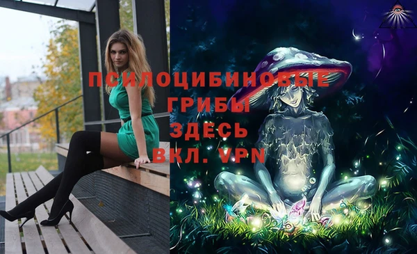 прущие грибы Коряжма
