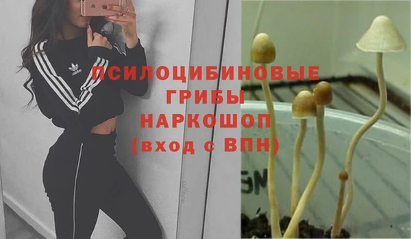 кокаин перу Красноперекопск