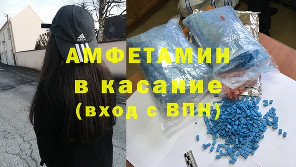 прущие грибы Коряжма