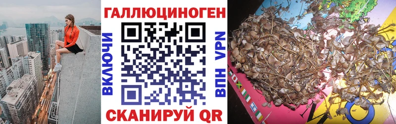 Псилоцибиновые грибы MAGIC MUSHROOMS Бирск