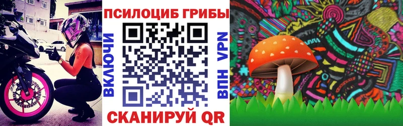 Псилоцибиновые грибы мухоморы Купить Бирск